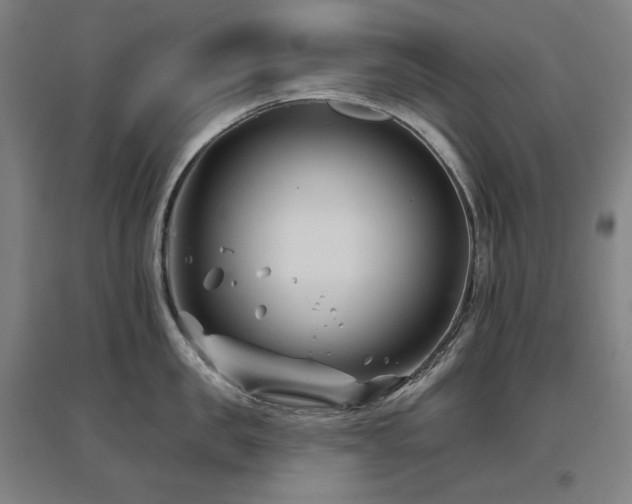 X0000095900957200801111206