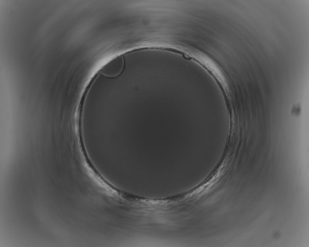 X0000095900958200801111206