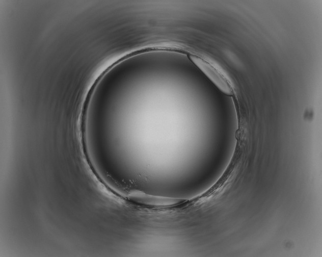 X0000095900959200801111206