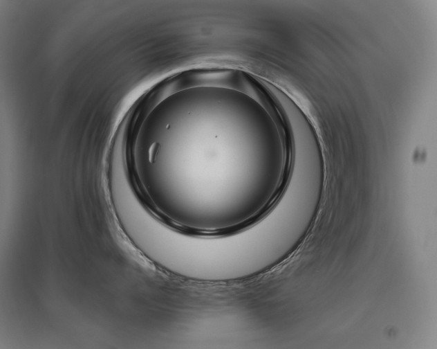 X0000095900960200801111206