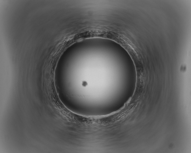 X0000095900961200801111205