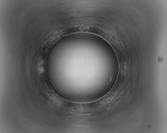X0000095900962200801111205