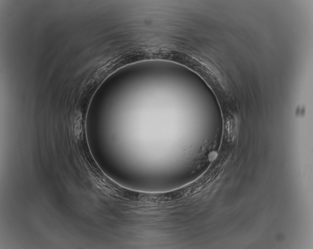 X0000095900963200801111205