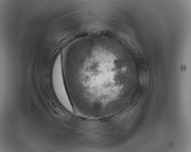 X0000095900964200801111205
