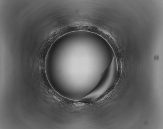 X0000095900965200801111205