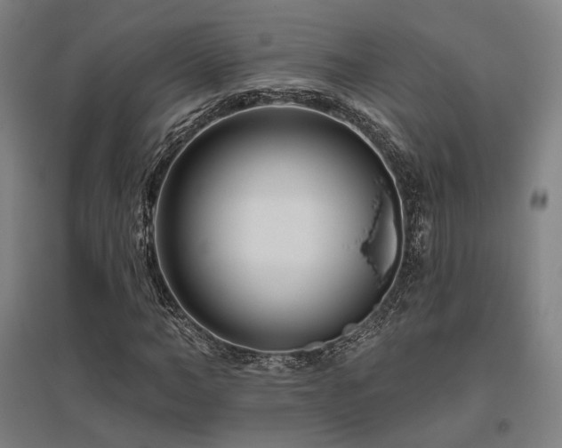 X0000095900966200801111205