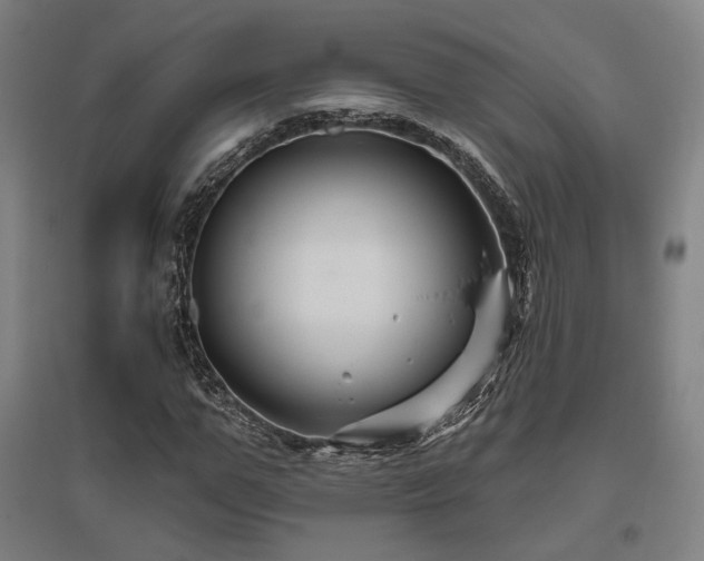 X0000095900967200801111205