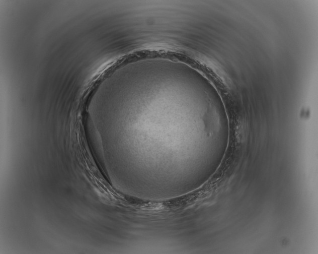 X0000095900968200801111205