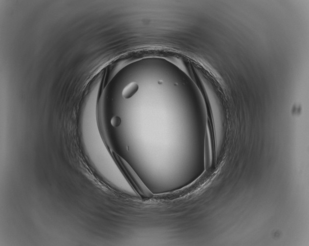 X0000095900969200801111205