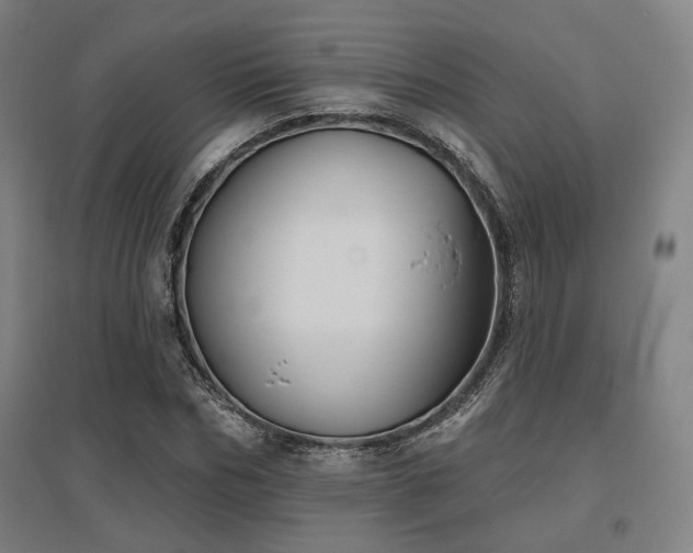 X0000095900970200801111205
