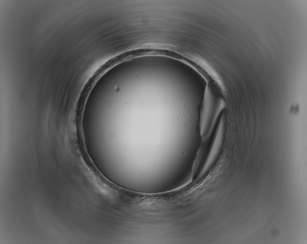X0000095900972200801111205