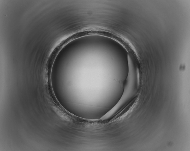 X0000095900973200801111205