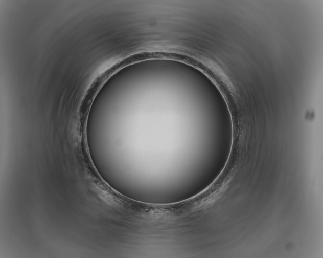 X0000095900974200801111205
