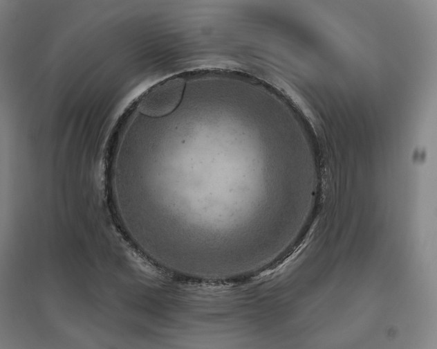 X0000095900975200801111205