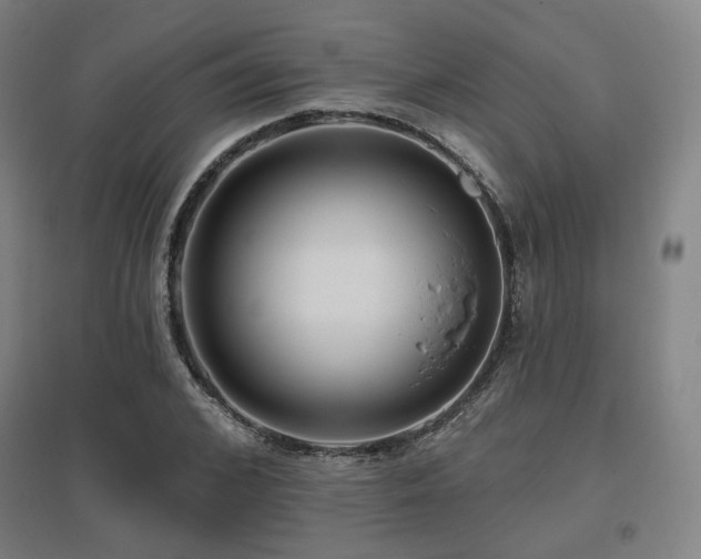 X0000095900976200801111205