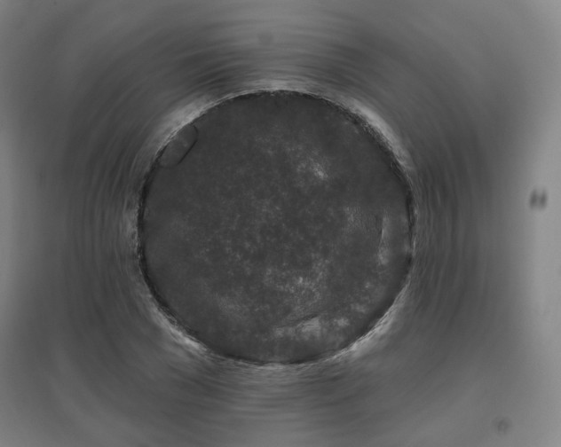 X0000095900977200801111205