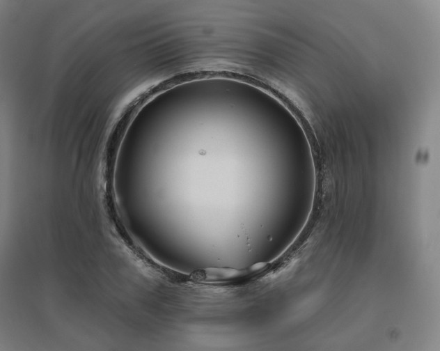 X0000095900979200801111205