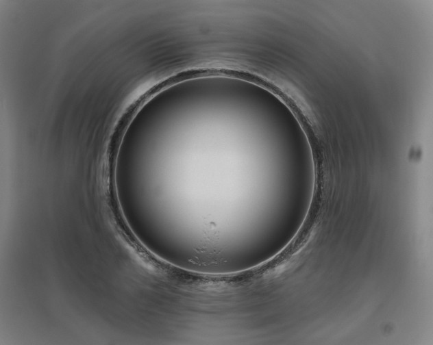 X0000095900982200801111205