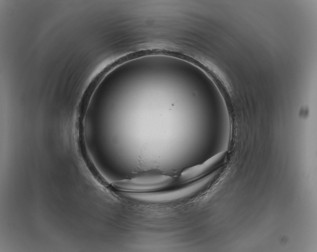 X0000095900983200801111205