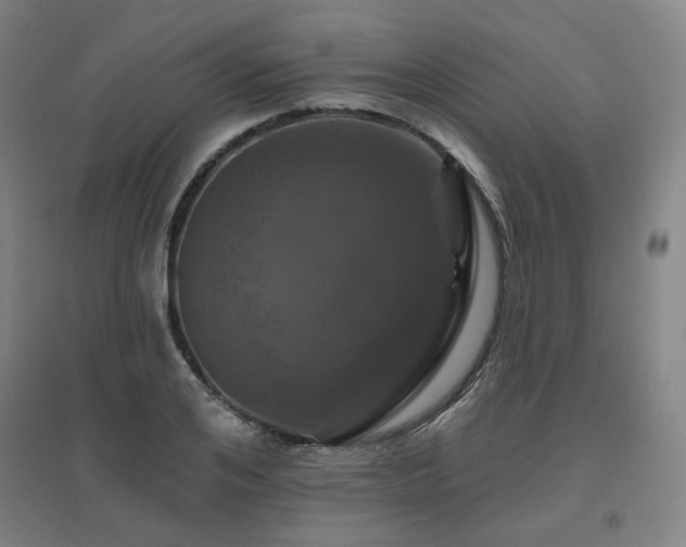 X0000095900984200801111205