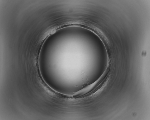 X0000095900985200801111205