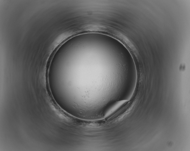 X0000095900986200801111205