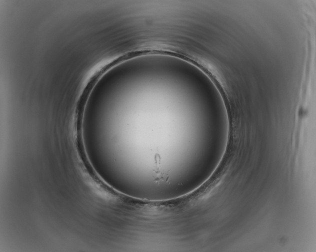 X0000095900987200801111205