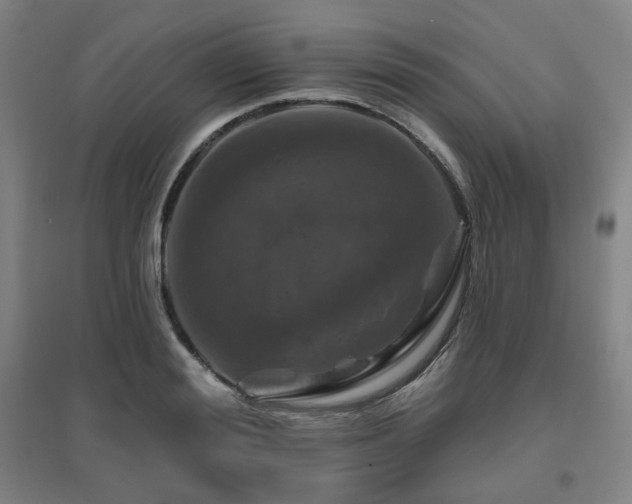 X0000095900988200801111205