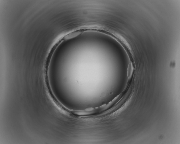 X0000095900989200801111205