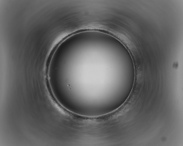 X0000095900990200801111205