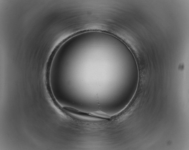 X0000095900991200801111205