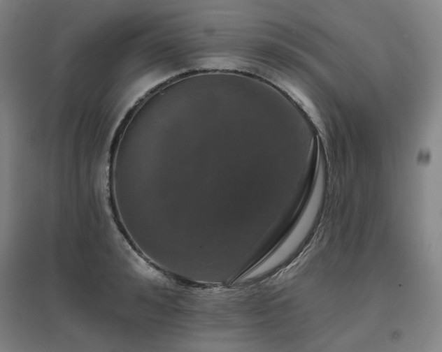 X0000095900992200801111205