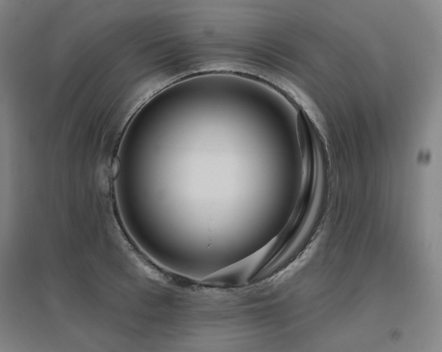 X0000095900993200801111205