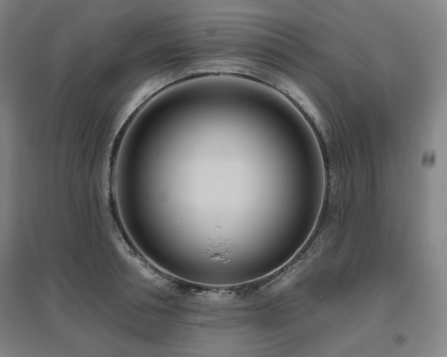 X0000095900994200801111205