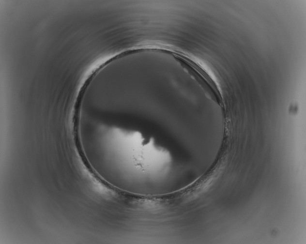 X0000095900995200801111205