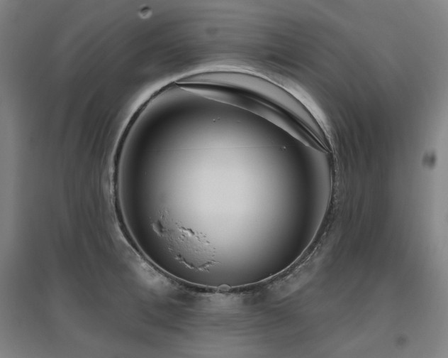 X0000095900996200801111205