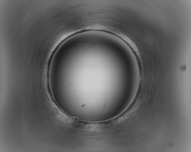 X0000095901000200801111205