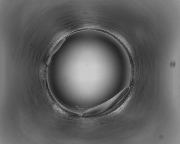 X0000095901001200801111205