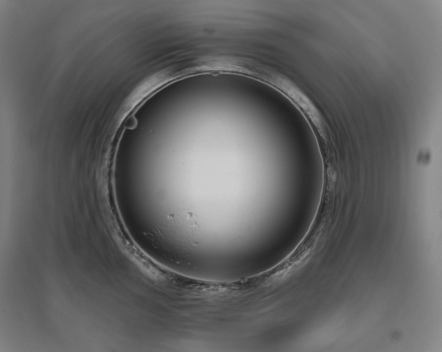 X0000095901002200801111205