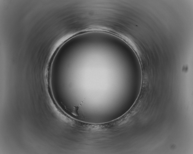 X0000095901003200801111205