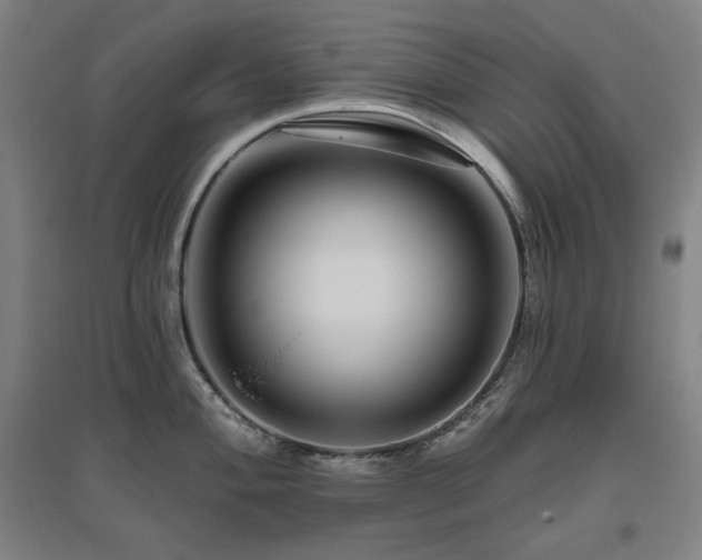 X0000095901004200801111205