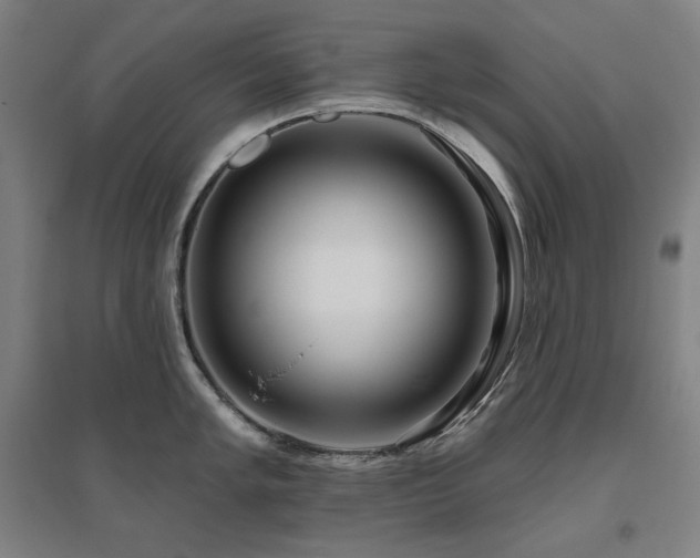 X0000095901005200801111205
