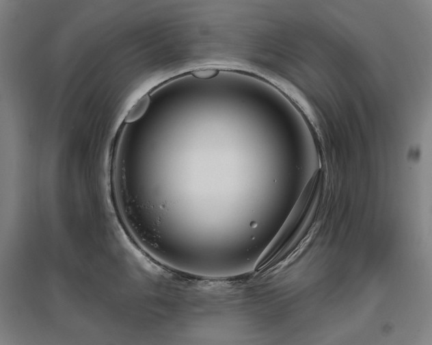 X0000095901006200801111205