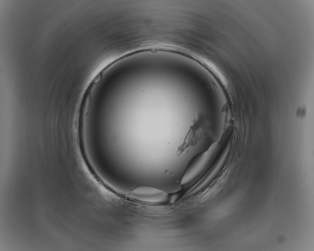 X0000095901007200801111205