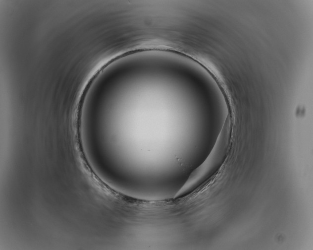 X0000095901008200801111205