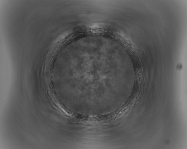 X0000095901009200801111204