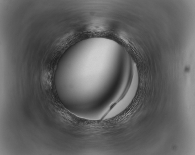 X0000095901010200801111204