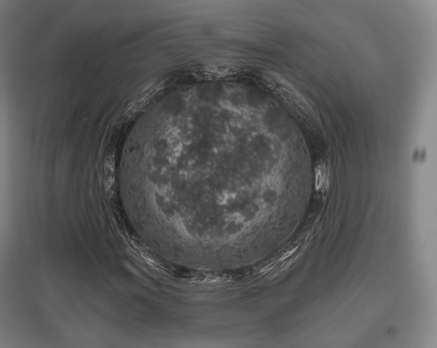 X0000095901011200801111204