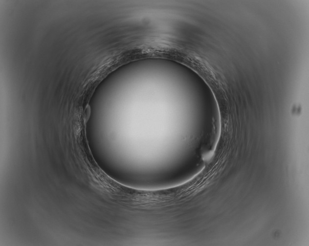 X0000095901012200801111204