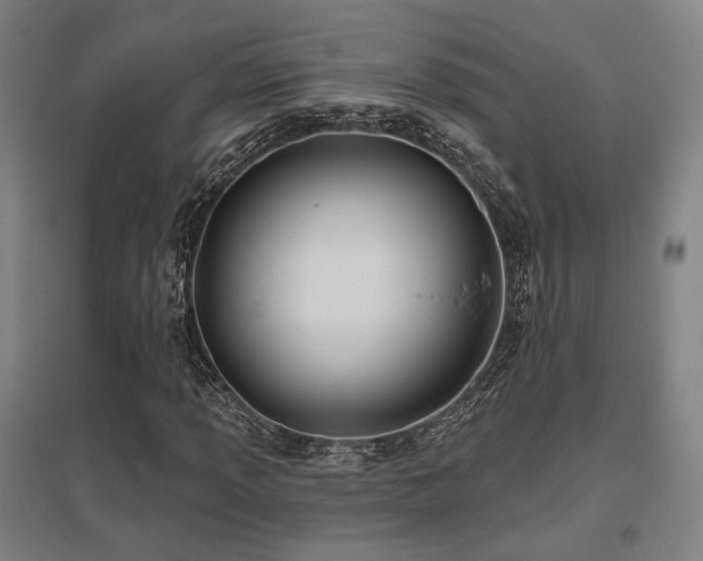 X0000095901013200801111204